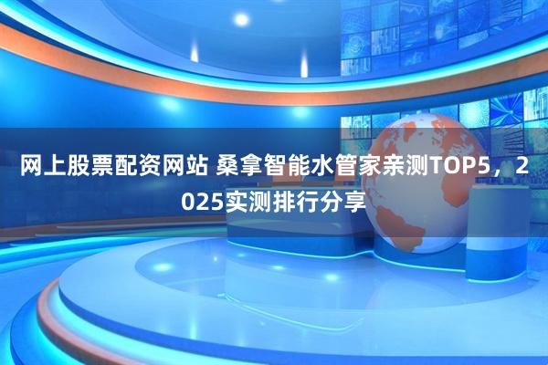 网上股票配资网站 桑拿智能水管家亲测TOP5，2025实测排行分享